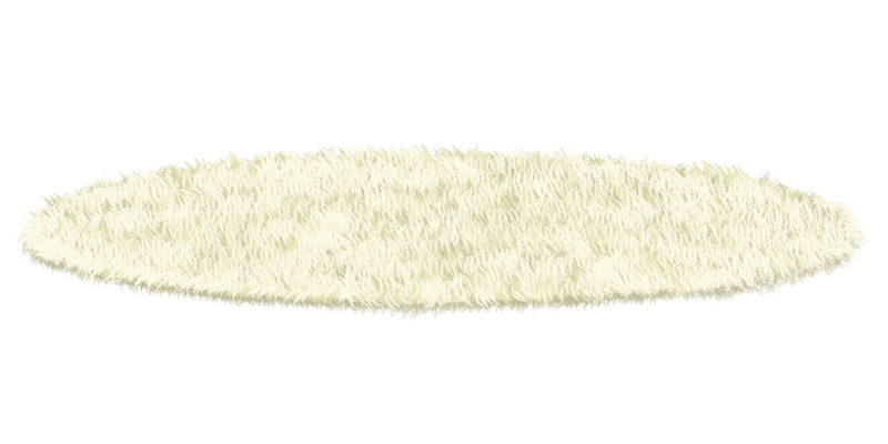 毛足の長いカーペット