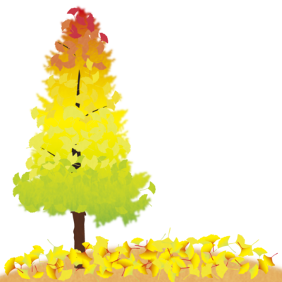 ginkgo-tree_b-02-318-400x400.png