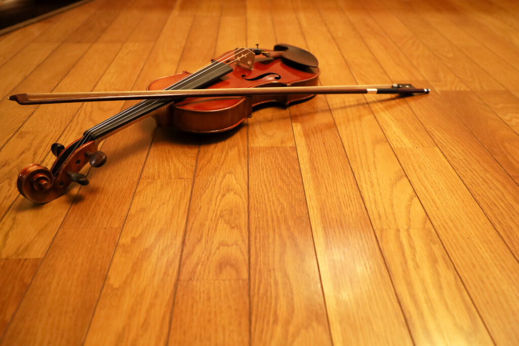 ヴァイオリンと弓 310