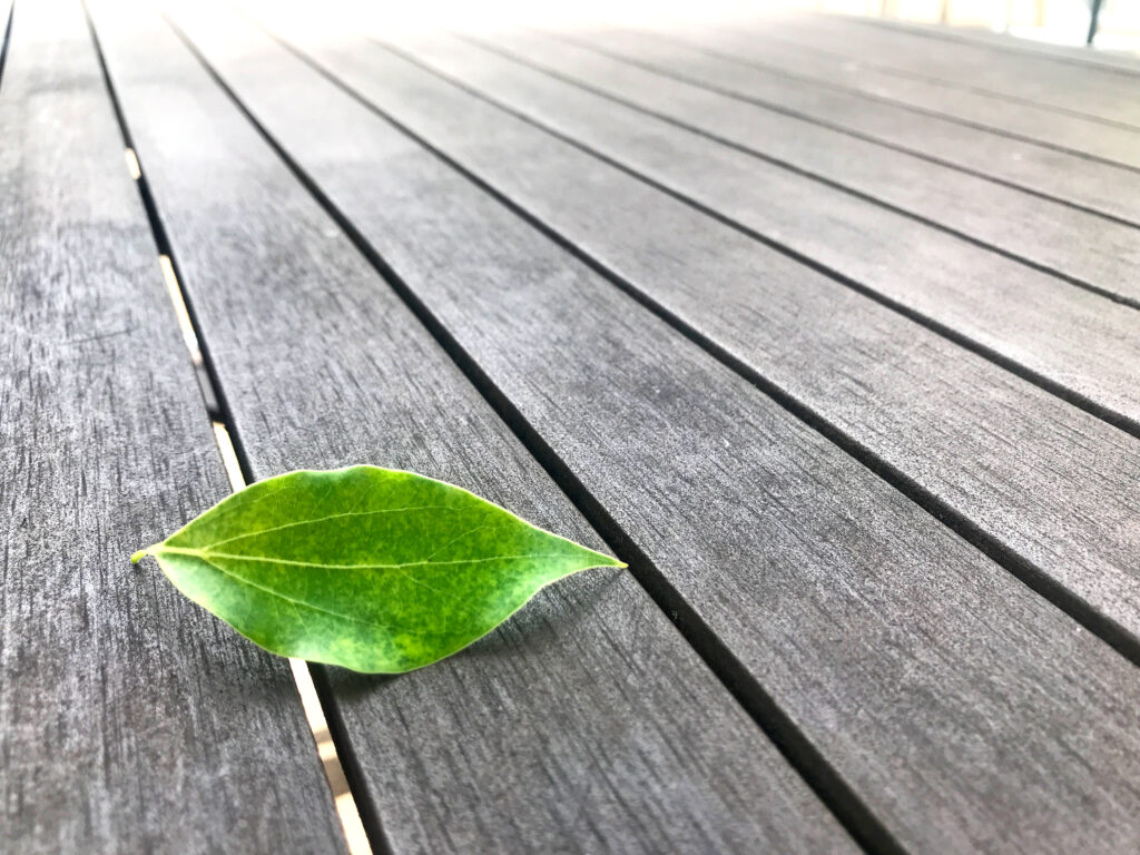 緑の葉っぱとガーデンテーブル