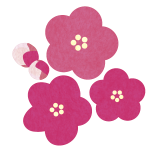 ピンク色の梅の花（３輪とつぼみ）