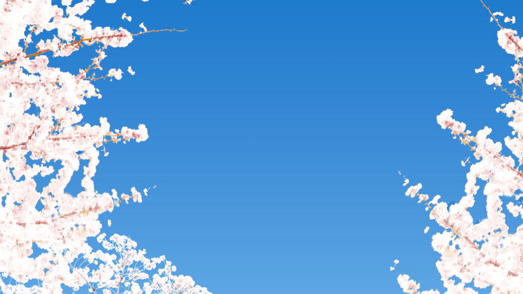 青空と満開の桜の壁紙背景 480