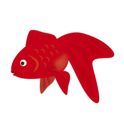 赤い金魚 612