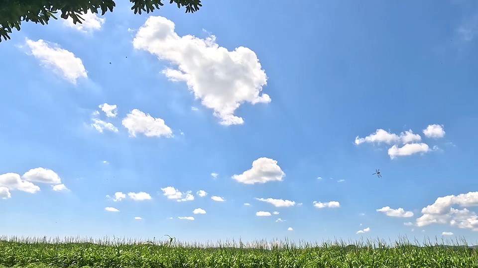 いつまでも眺めていたくなる空と雲と草原の景色 652