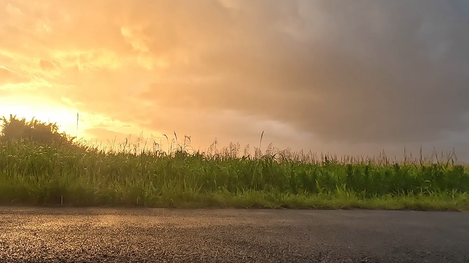 漂うもやと夕焼けの幻想的な風景