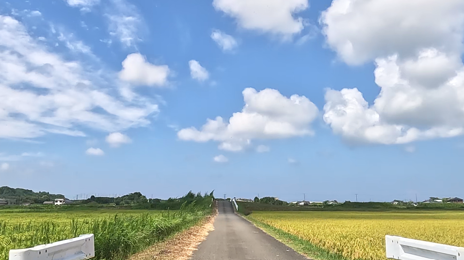 雲にむかって道を進む